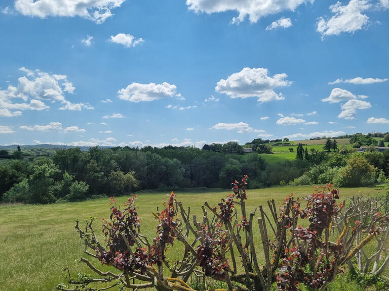 Maison Forcalquier - 7 chambres - 200m²