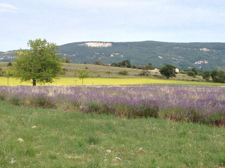 Maison Forcalquier - 9 chambres - 500m²