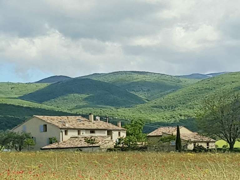 Maison Forcalquier - 9 chambres - 500m²