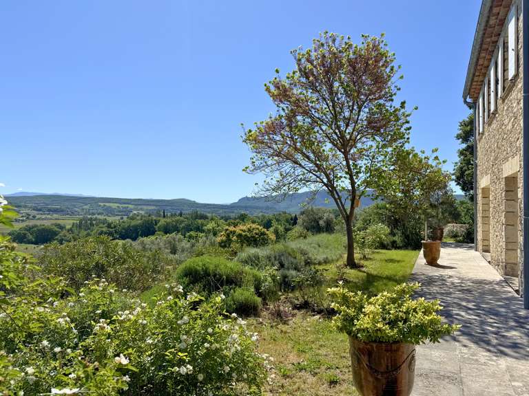 Maison Forcalquier - 5 chambres - 240m²