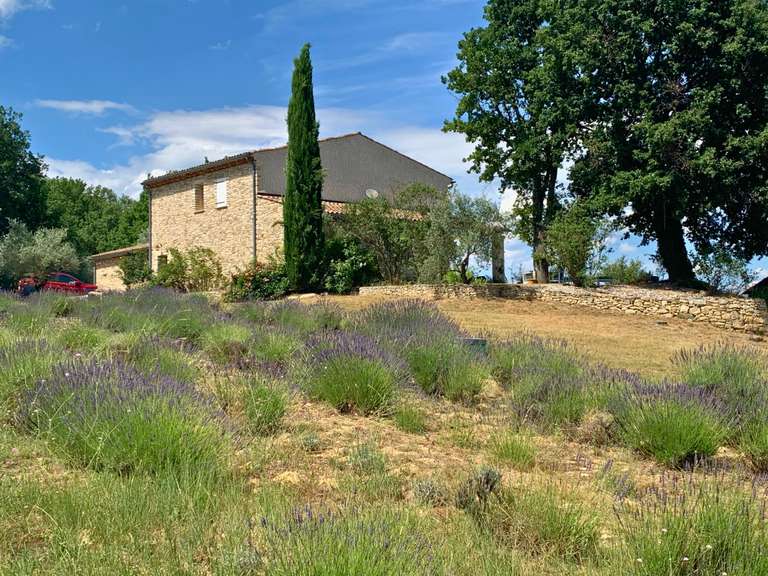 Maison Forcalquier - 5 chambres - 240m²