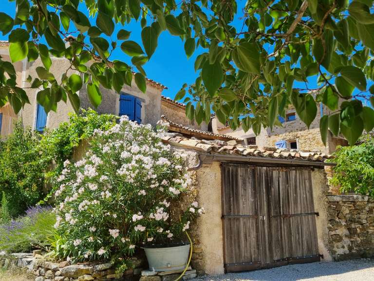 Maison Forcalquier - 6 chambres - 206m²