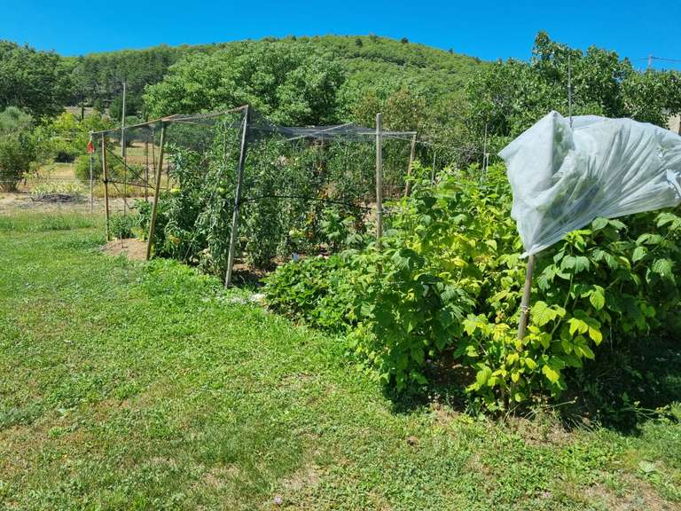Maison Forcalquier - 6 chambres - 206m²