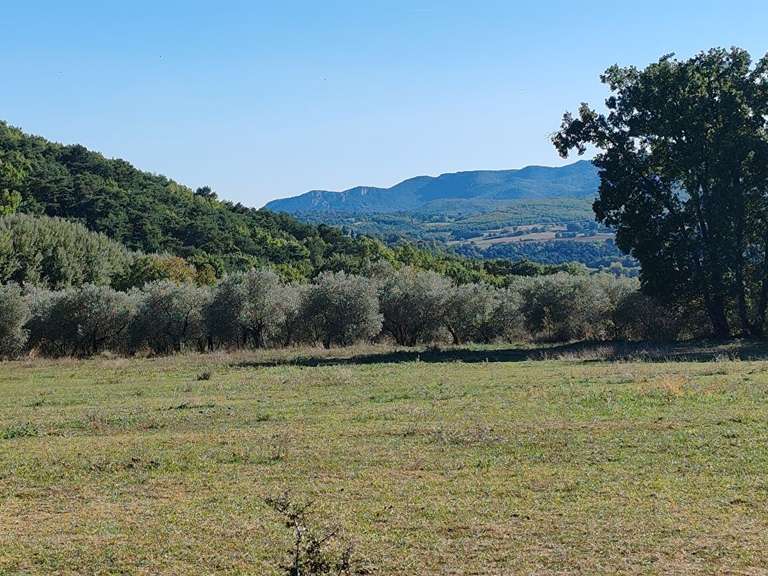 Propriété Forcalquier - 9 chambres - 450m²