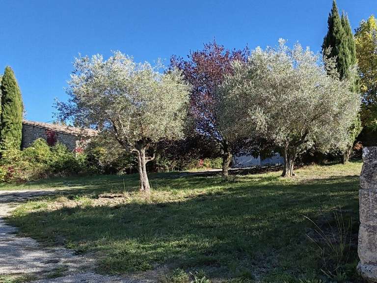 Propriété Forcalquier - 9 chambres - 450m²