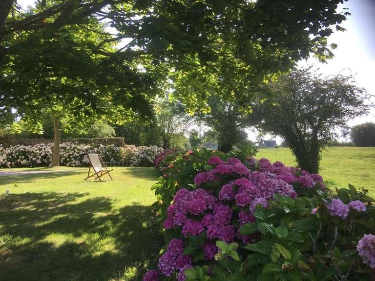 Maison Formigny-la-Bataille - 4 chambres - 351m²