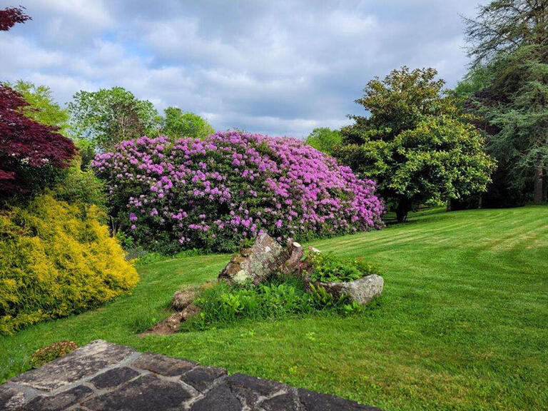 House Fouesnant - 5 bedrooms