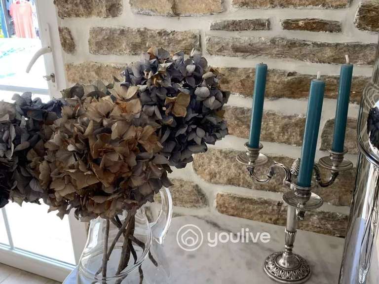 Maison Fouesnant - 6 chambres