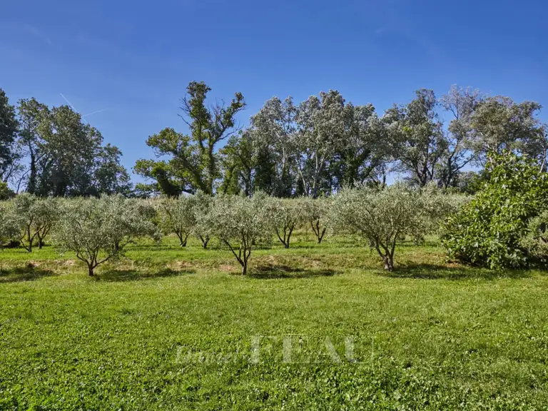 Maison Fourques - 14 chambres - 805m²