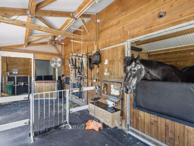 House Fox-Amphoux - 6 bedrooms - 914m²