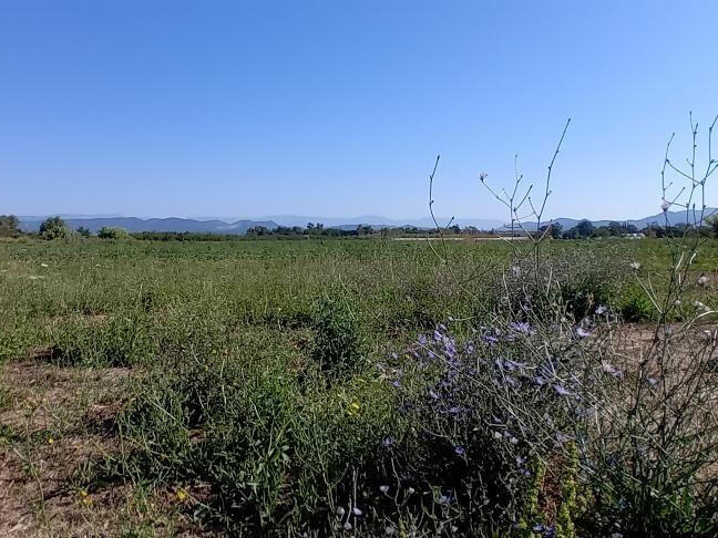 Maison Fréjus - 177m²