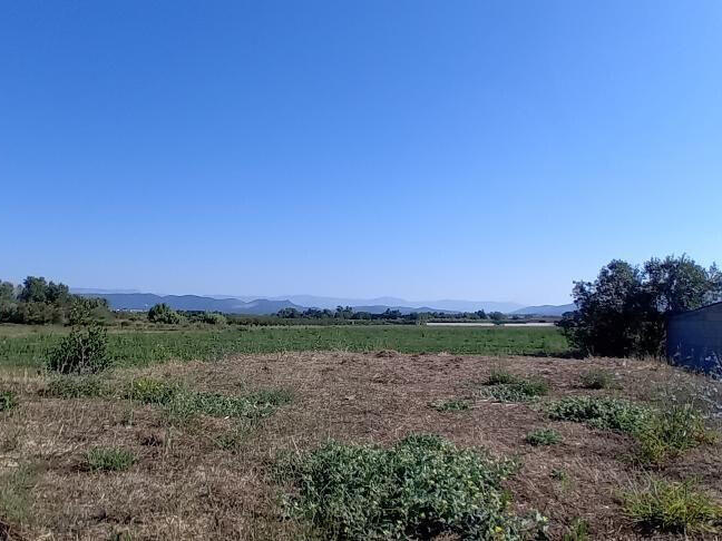 Maison Fréjus - 177m²