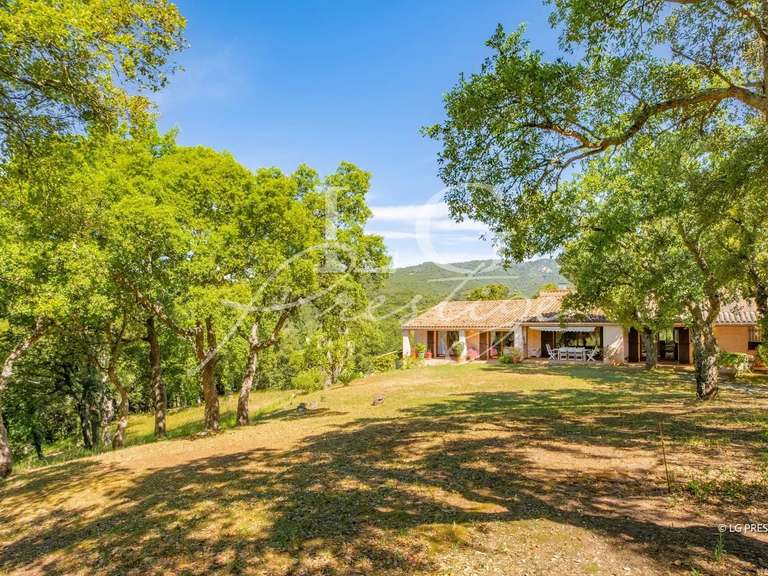 Maison Fréjus - 5 chambres - 270m²