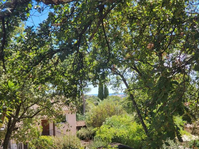 Villa Fréjus - 5 chambres - 280m²