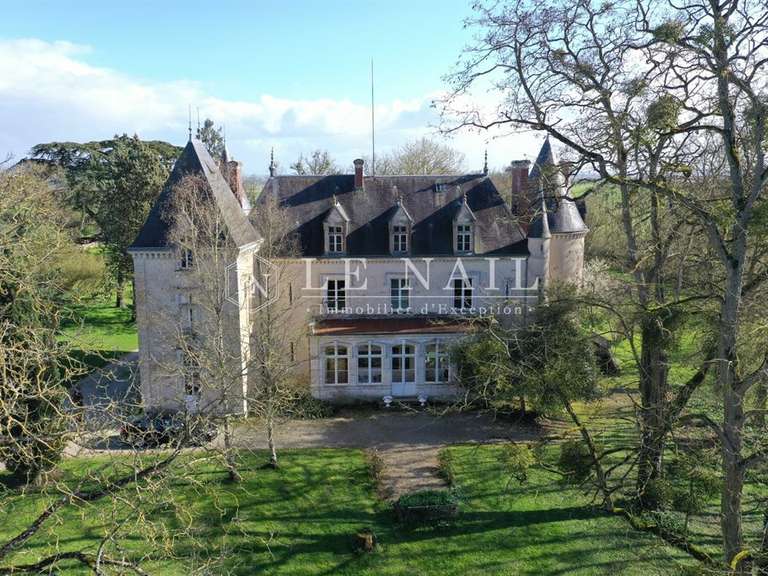 Château Fresnay-sur-Sarthe - 7 chambres - 446m²