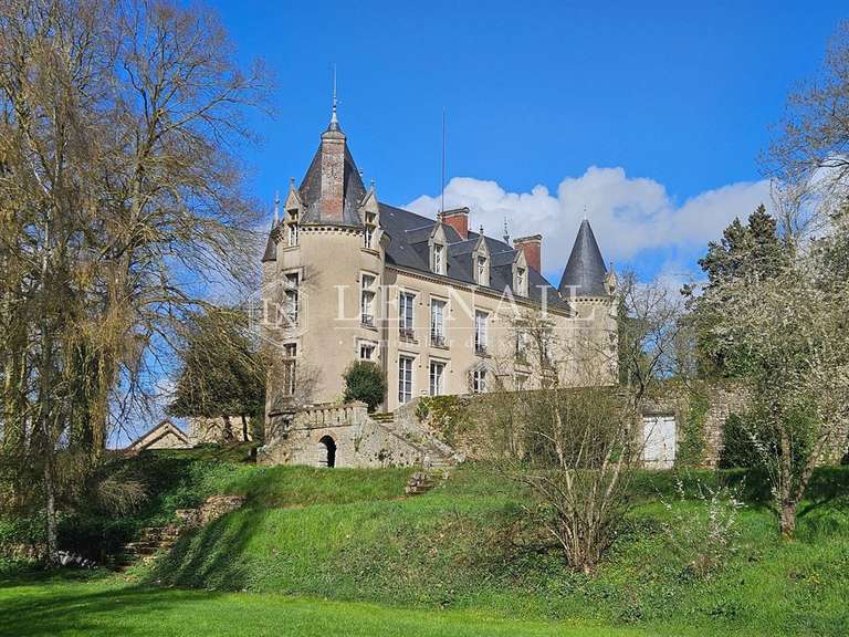 Château Fresnay-sur-Sarthe - 7 chambres - 446m²