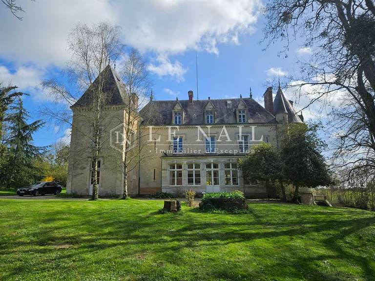 Château Fresnay-sur-Sarthe - 7 chambres - 446m²