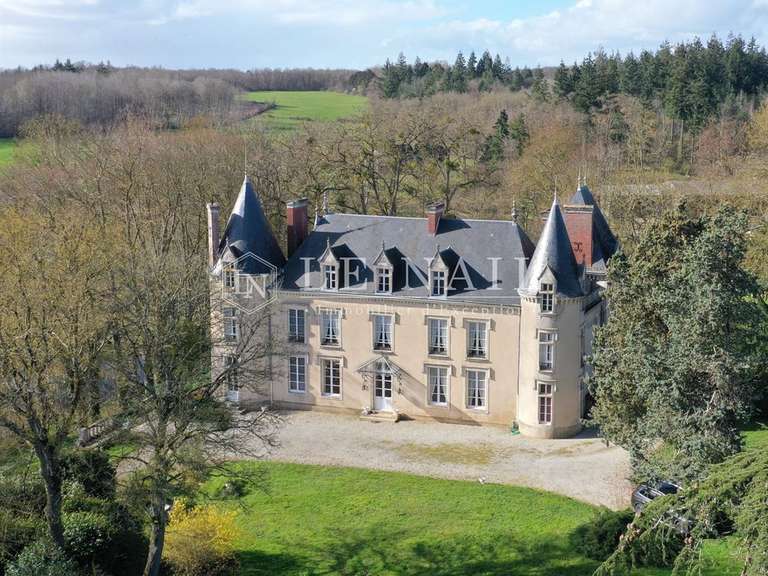 Castle Fresnay-sur-Sarthe - 7 bedrooms - 446m²