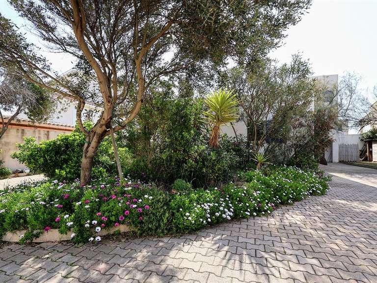 Maison Frontignan - 7 chambres - 230m²
