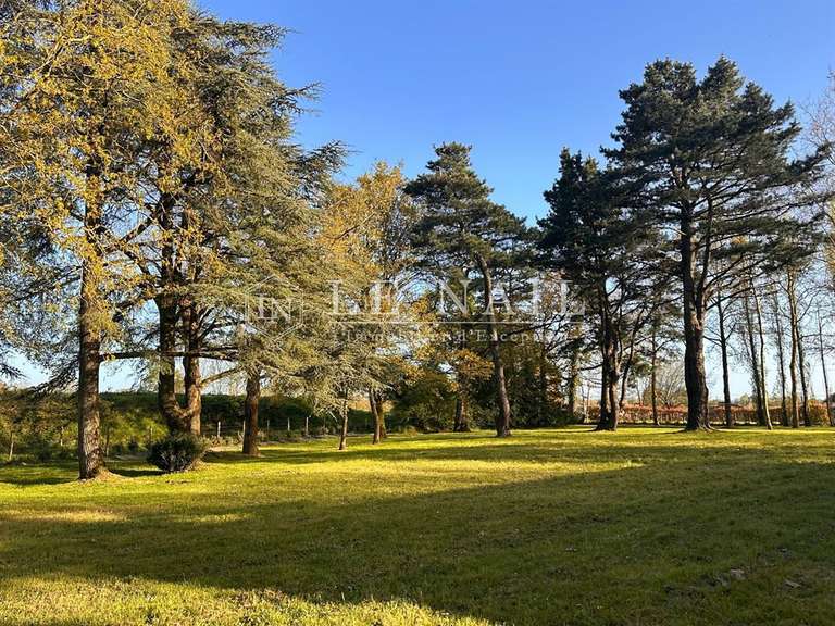 Château Frossay - 7 chambres - 374m²