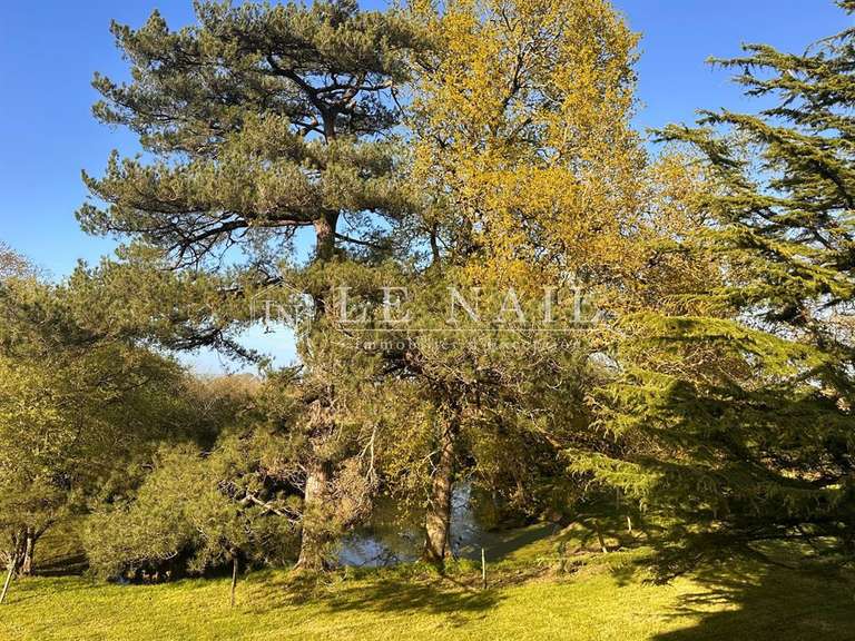 Château Frossay - 7 chambres - 374m²