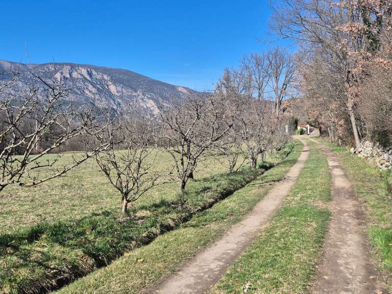 Maison Fuilla - 6 chambres - 308m²