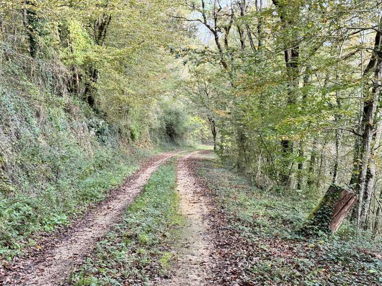 Maison Fumel - 4 chambres - 153m²