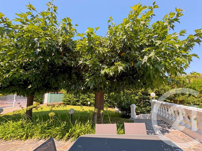 Maison Furiani - 4 chambres - 150m²