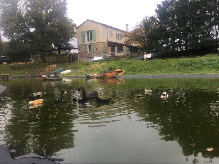 Propriété Gabillou - 20 chambres - 394m²