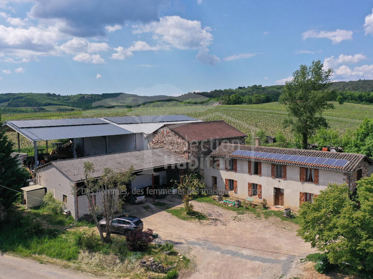 Vente Domaine viticole Gaillac - 4 chambres