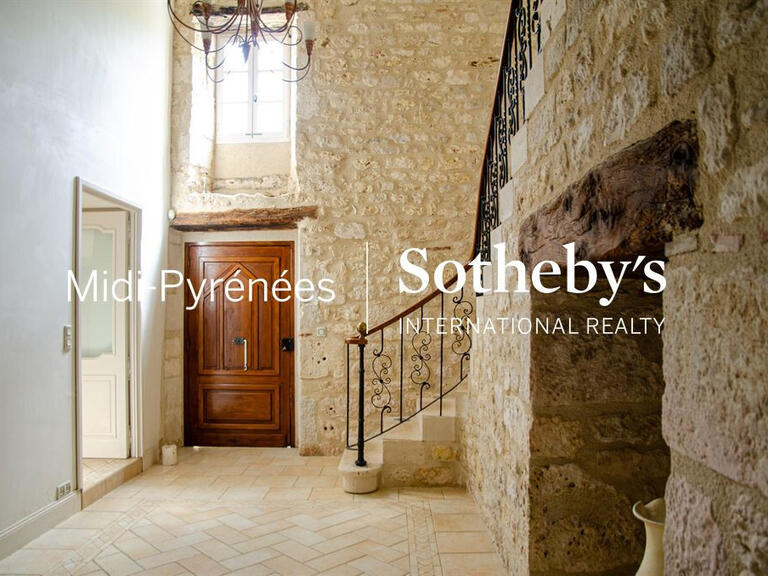 House Gaillac - 5 bedrooms - 390m²