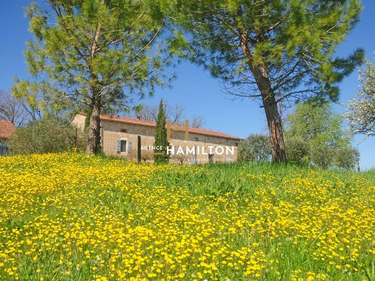 Maison Gaillac - 11 chambres - 655m²