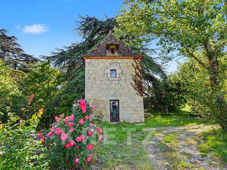 Château Gasques - 7 chambres - 480m²