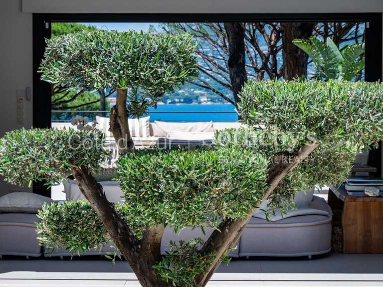 Maison avec Vue sur mer Gassin - 4 chambres - 310m²