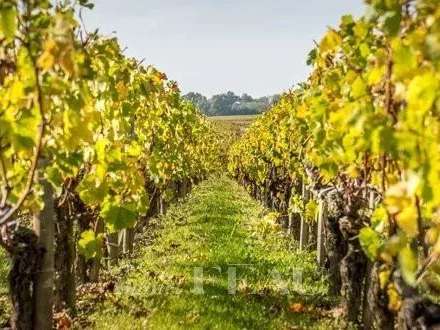 Propriété Gassin - 534m²