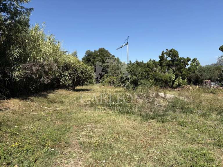 Terrain Gassin - 1502m²