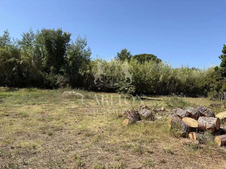 Terrain Gassin - 1502m²