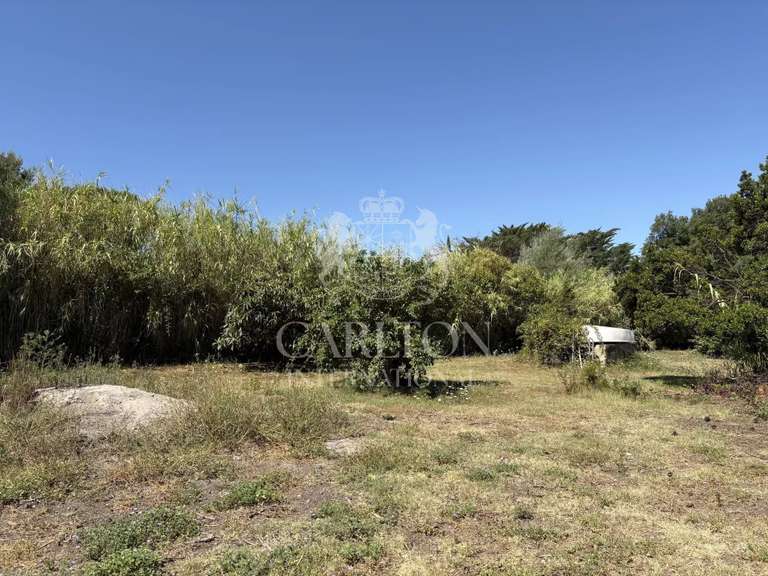 Terrain Gassin - 1502m²