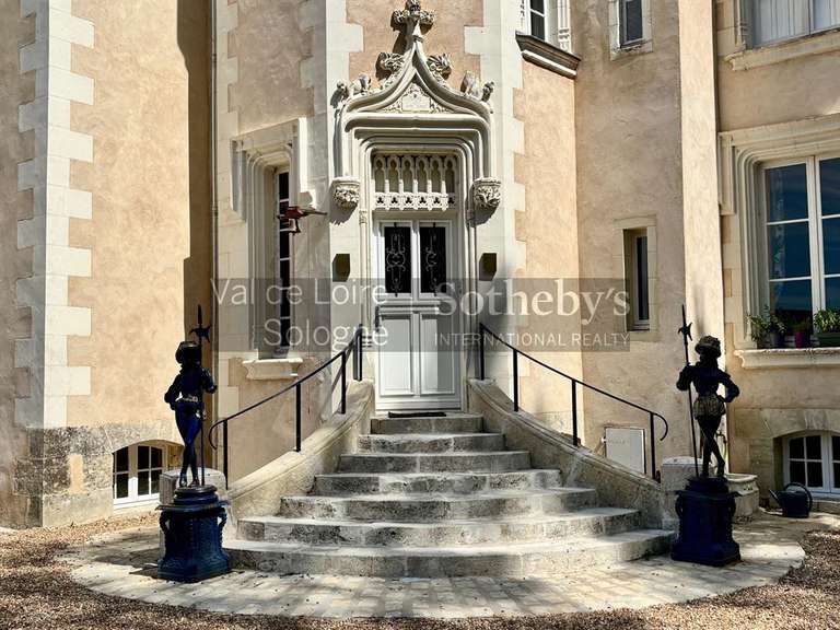 Château Genillé - 6 chambres - 323m²