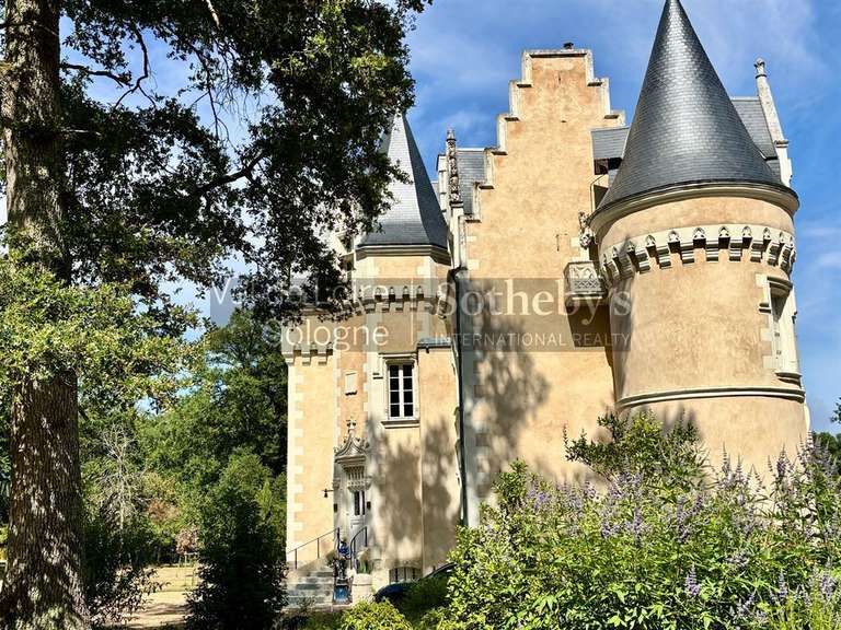 Château Genillé - 6 chambres - 323m²