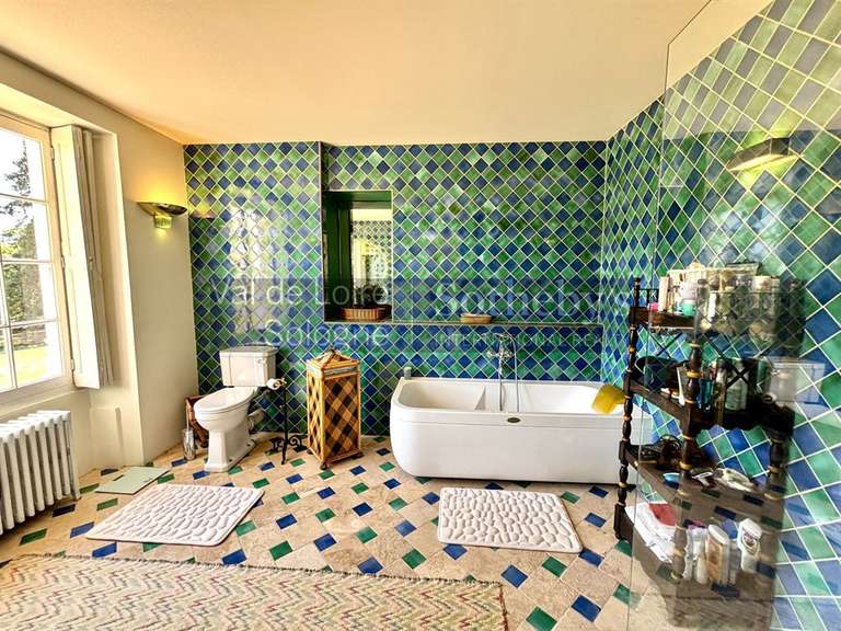 Château Genillé - 6 chambres - 323m²