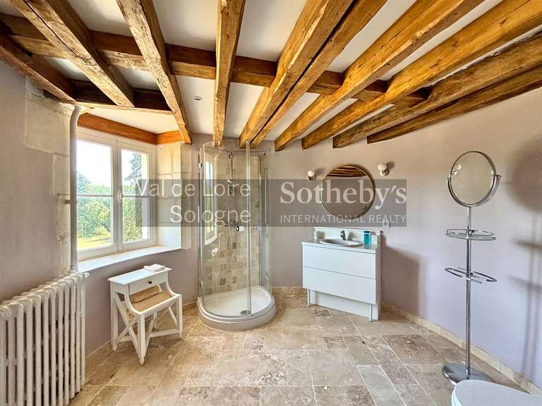 Château Genillé - 6 chambres - 323m²