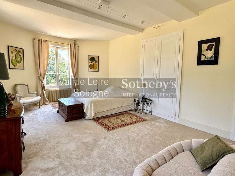Château Genillé - 6 chambres - 323m²