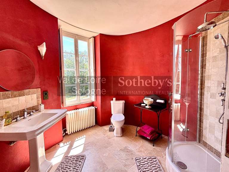 Château Genillé - 6 chambres - 323m²
