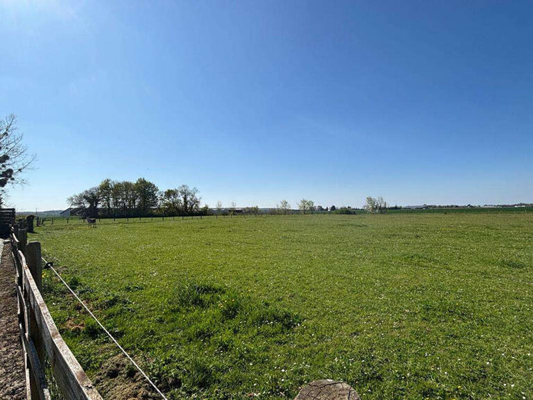 House Gennes-Val-de-Loire - 6 bedrooms