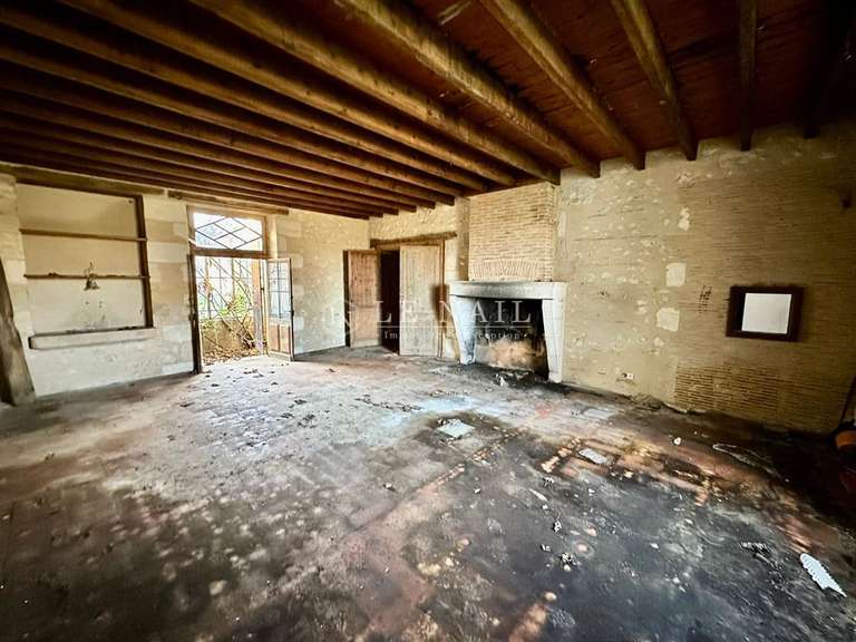 Castle Gensac - 4 bedrooms - 400m²