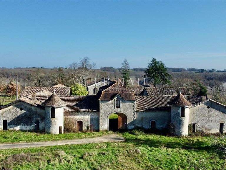 Castle Gensac - 4 bedrooms - 400m²