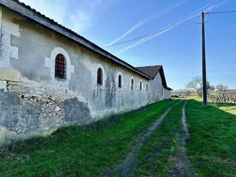 Castle Gensac - 4 bedrooms - 400m²