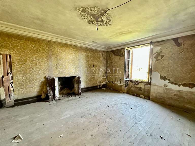 Castle Gensac - 4 bedrooms - 400m²