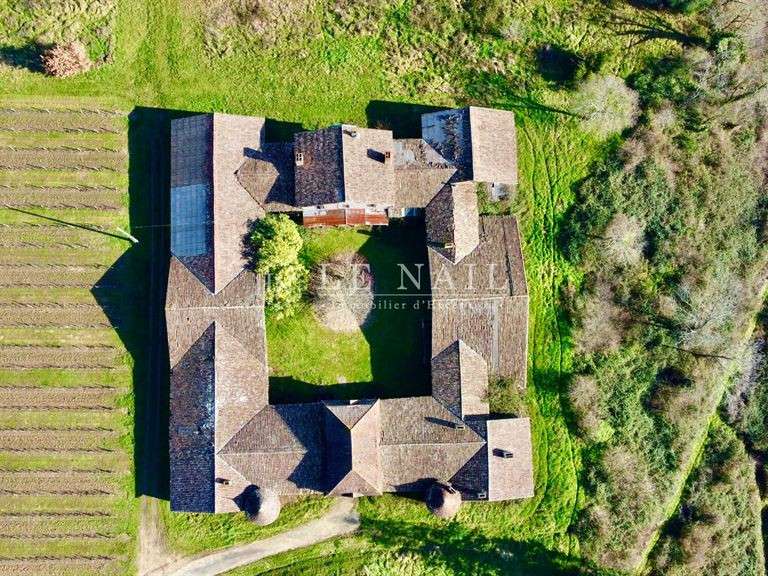 Castle Gensac - 4 bedrooms - 400m²